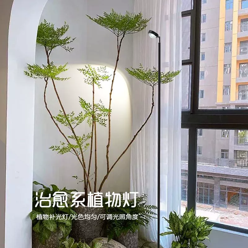 Fill light, floor plant lamp solar-powered, comfortable light spectrum