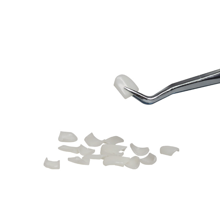 Modelo dental de práctica para la enseñanza de estética dental, adhesión y extracción de piezas de prótesis, dientes de porcelana completa para práctica de veneer.