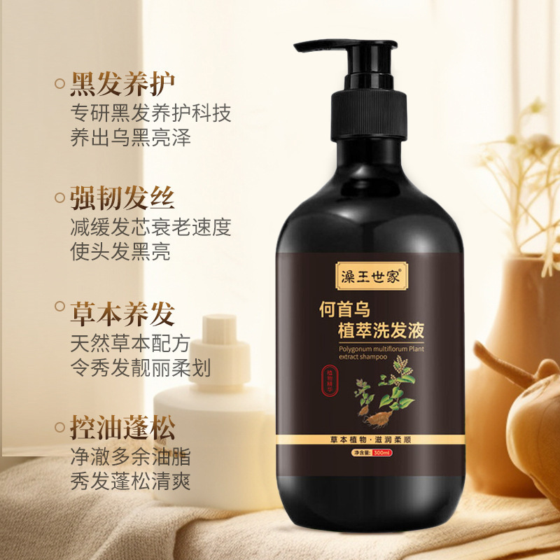 Bathing King Family Polygonum Polygonum Polygonum Plant Champú Descaspa Control de aceite Champú Antipicazón Fabricante de champú nutritivo esponjoso