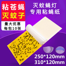 ωճωßωüճӜnωմx