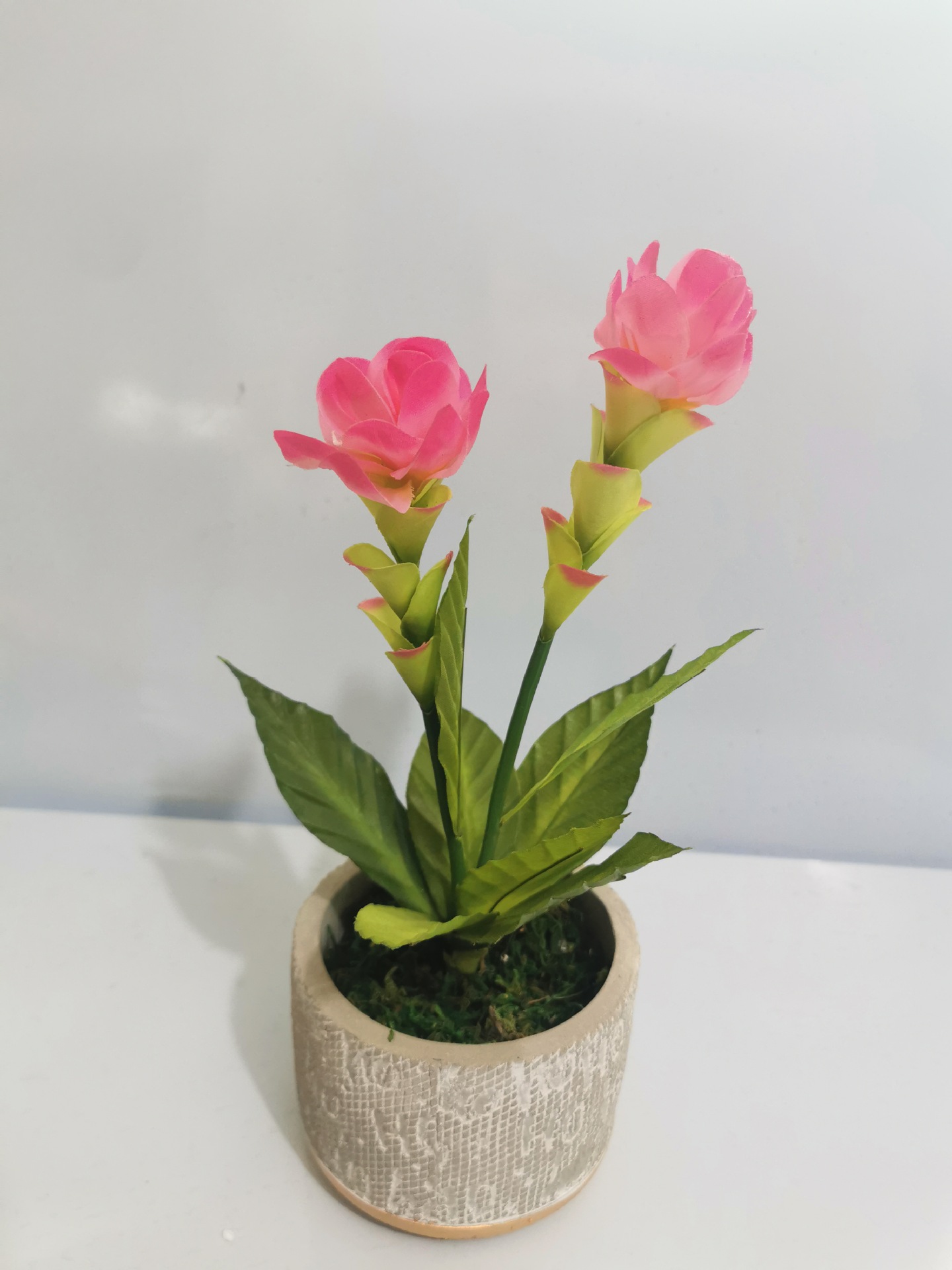 微信图片_20220301134658