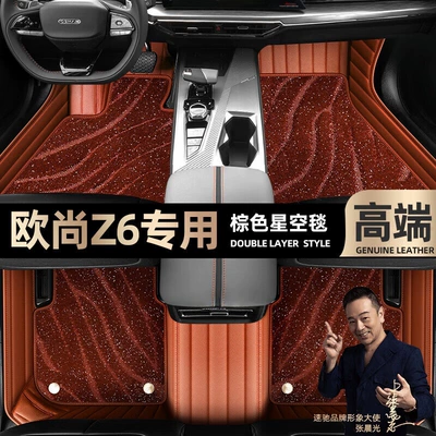 Ayaqaltılar (Kovriklər) Double-Layer Starry Sky Carpet Floor Mats - take-a-photo-of-the-car-model-year-and-leave-a-message-brown-leather-brown-starry-sky-blanket-double-layer-model