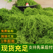 仿真苔藓假草皮diy人造青苔丝状草坪绿植装饰微景观假山造景盆栽