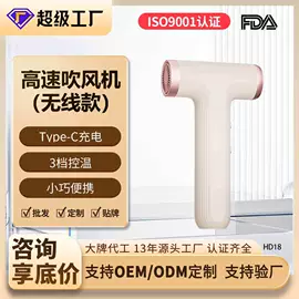 筋膜枪;电子美容仪;电吹风