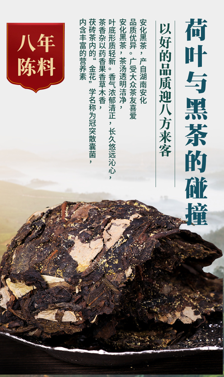 hmqViviiyNSAyin7WuaTt3BZZ8hCXpxWYkNQ