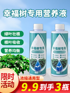 Happy Tree Fertilizer Nutrient Solution to Treat Falling Leaves, Yellow Leaves and Black Spots, Indoor Potted Green Plants, Dry Leaves, Universal