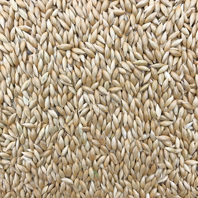 Canary Seeds, Budgerigars, Lovebirds, Bird Food, White-Tipped Bird Food, Pigeon Feed Supplies 2.5kg Non-Vacuum Packaged Items