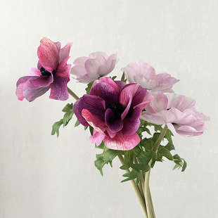 �͹��p�� ��֧�ָ��yɏ�� ���^���b�ˇ �Wʽ ����������c����