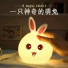 Big-eared (pink-eared) cute rabbit-Paipai Lamp