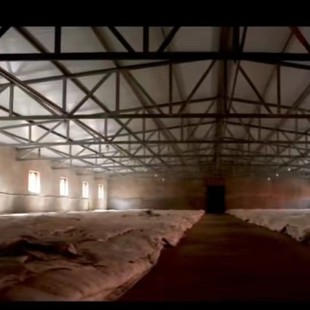 �S��ɢ�b�׾����l Ͱ�b�����ͼZʳ�Ƹ߶��ϾƸ�����42��53��60��