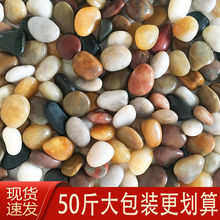 50斤鹅卵石铺地庭院铺路造景石子花园阳台装饰五彩石雨花石供应链