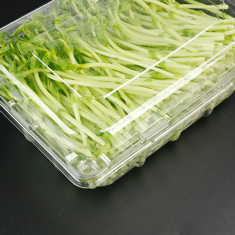 蔬菜盒37