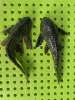 Heiqing Daofu 16-17cm (2 items)