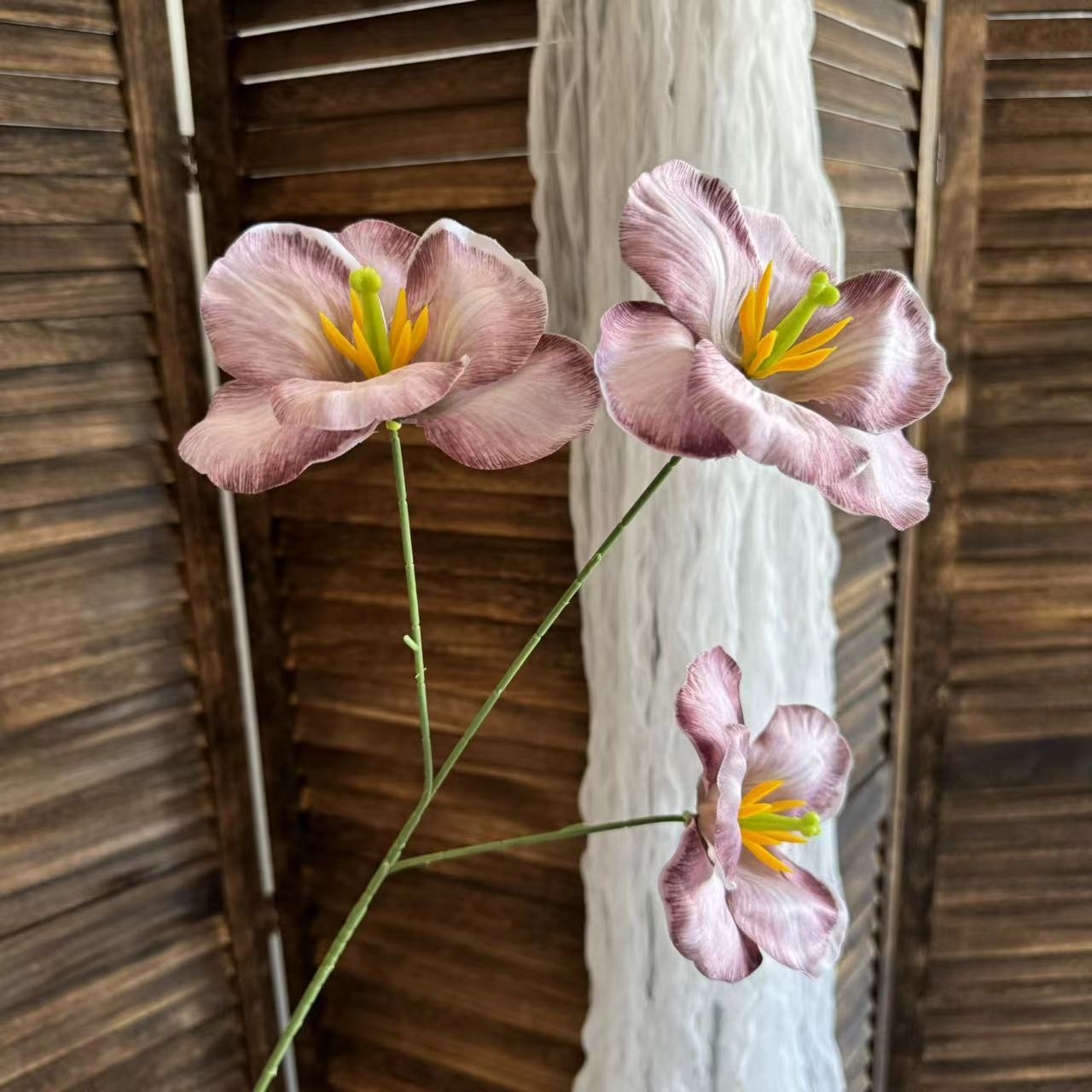보라색 다크 브라운