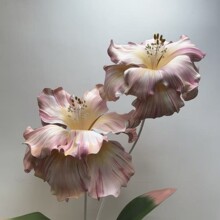 �߶˻�c�b����ֹ�ˇ���w����ˇ�����Sβ��ˮ������ꐵ���b�