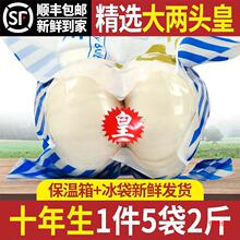 【十年生】兰州百合500g两头皇新鲜食用甜百合新挖百合干农家