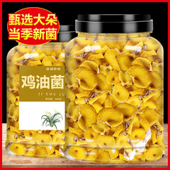 雲南省の特産品である鶏油菌の新鮮な野生の黄金キノコの干物である黄糸菌子楡黄茸シイタケのスープキノコ類