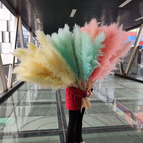Wholesale ins pink dried flowers large reed eternal flower pampas grass bouquet living room decoration ornaments Mother's Day gift