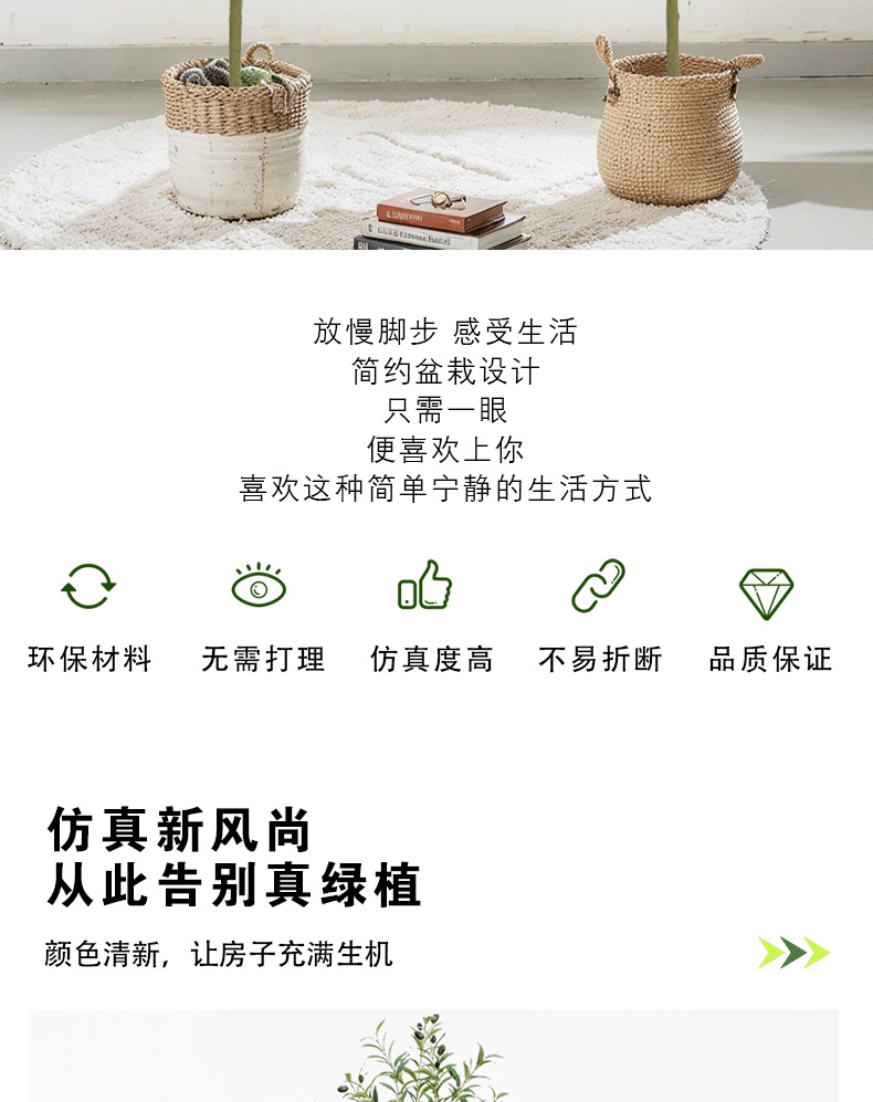 橄榄树详情页_02.png