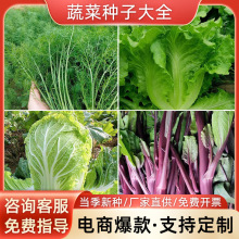 ļϷ˷NѴȫ˲˰ײ˷Nﶬ˷Nr̨߲