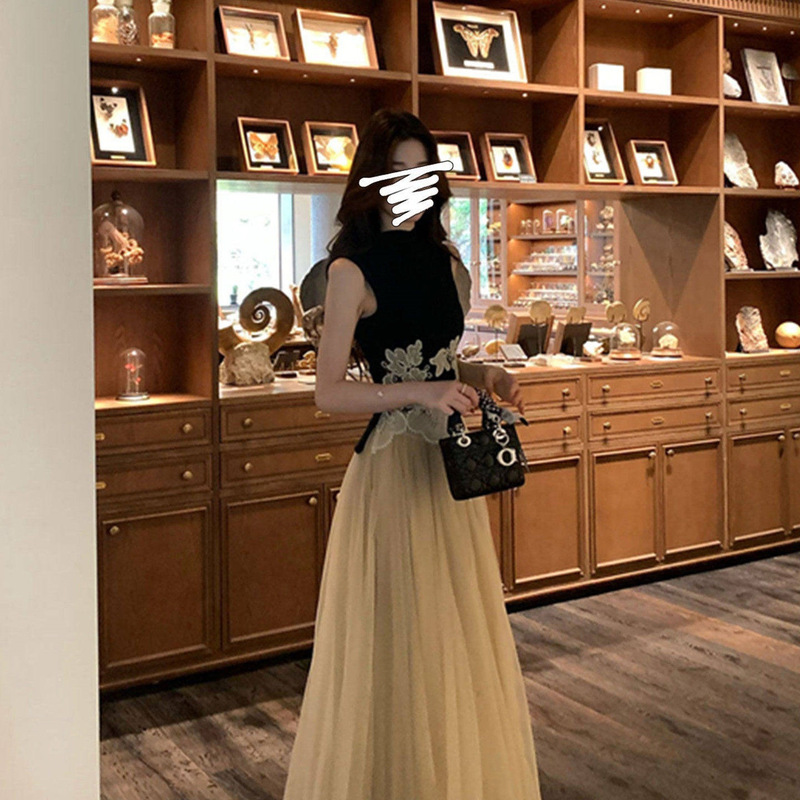 Gorgeous Chinese-Style Outfit for Women, Summer New Chinese-Style Lace Embroidered Sleeveless Top and Mesh Skirt Two-Piece Set