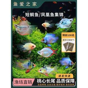 ���ӌ��{��������m�P�����~�����_С�͟Ꭷ�^�p�~Ƥ�����{����