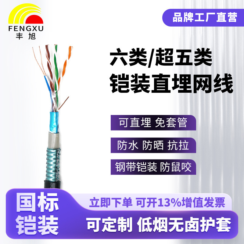 Fengxu National Standard Category 6/Cat5e Shielded Armored Outdoor Direct Buriable CAT5E6A Rodent-Resistant Network Cable