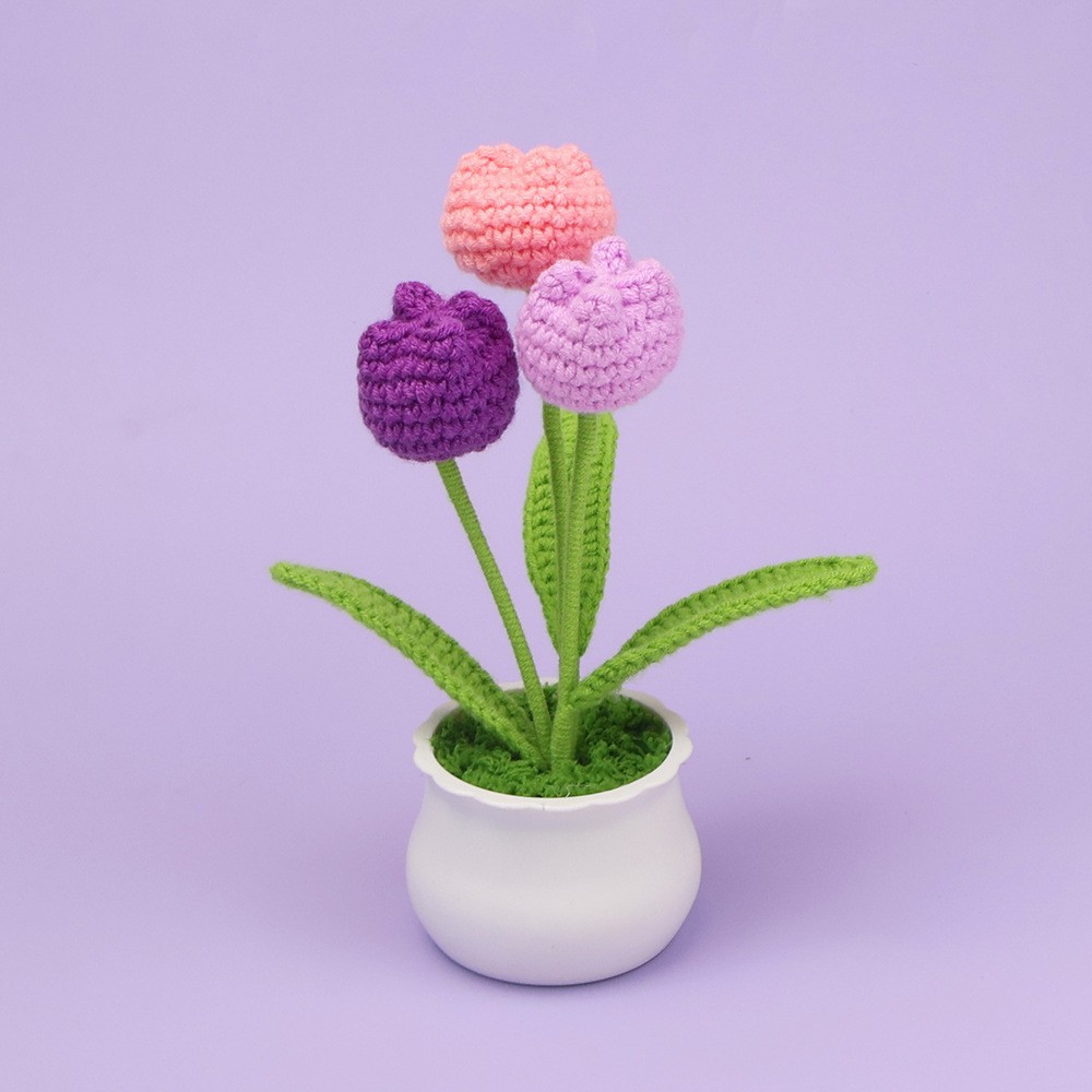 Morado degradado - tres tulipanes gordos (maceta blanca)