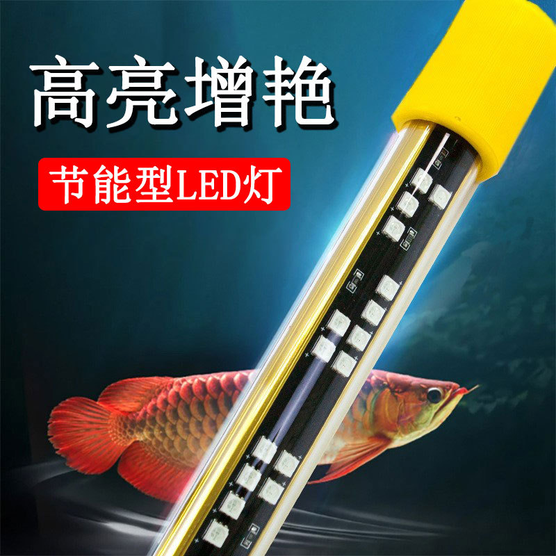 Ultra-Bright Waterproof Lamp for Enhancing the Appearance of Arowana, Special Lamp for Aquariums, Direct Sale from Manufacturer