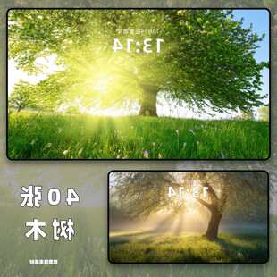 40�����峬��2k��ľ�ϼ��ڼ� ���_��Ч����X����ƽ��iPad�ڼ�