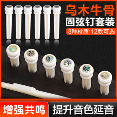 Acoustic Guitar String Anchors, Beef Bone and Rosewood Tuning Pegs, Guitar String Anchors, Guitar Tuning Pegs Accessories