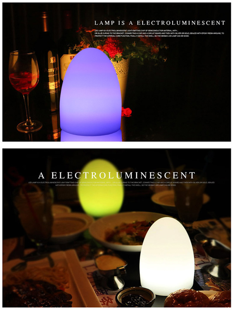 2022蛋形灯-详情2-2.jpg