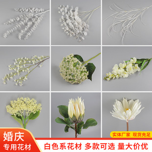 ��ɫϵ���滨�̰�ɫ��c������Y��ܛ�b�������F�����m�hѩ��ĵ��