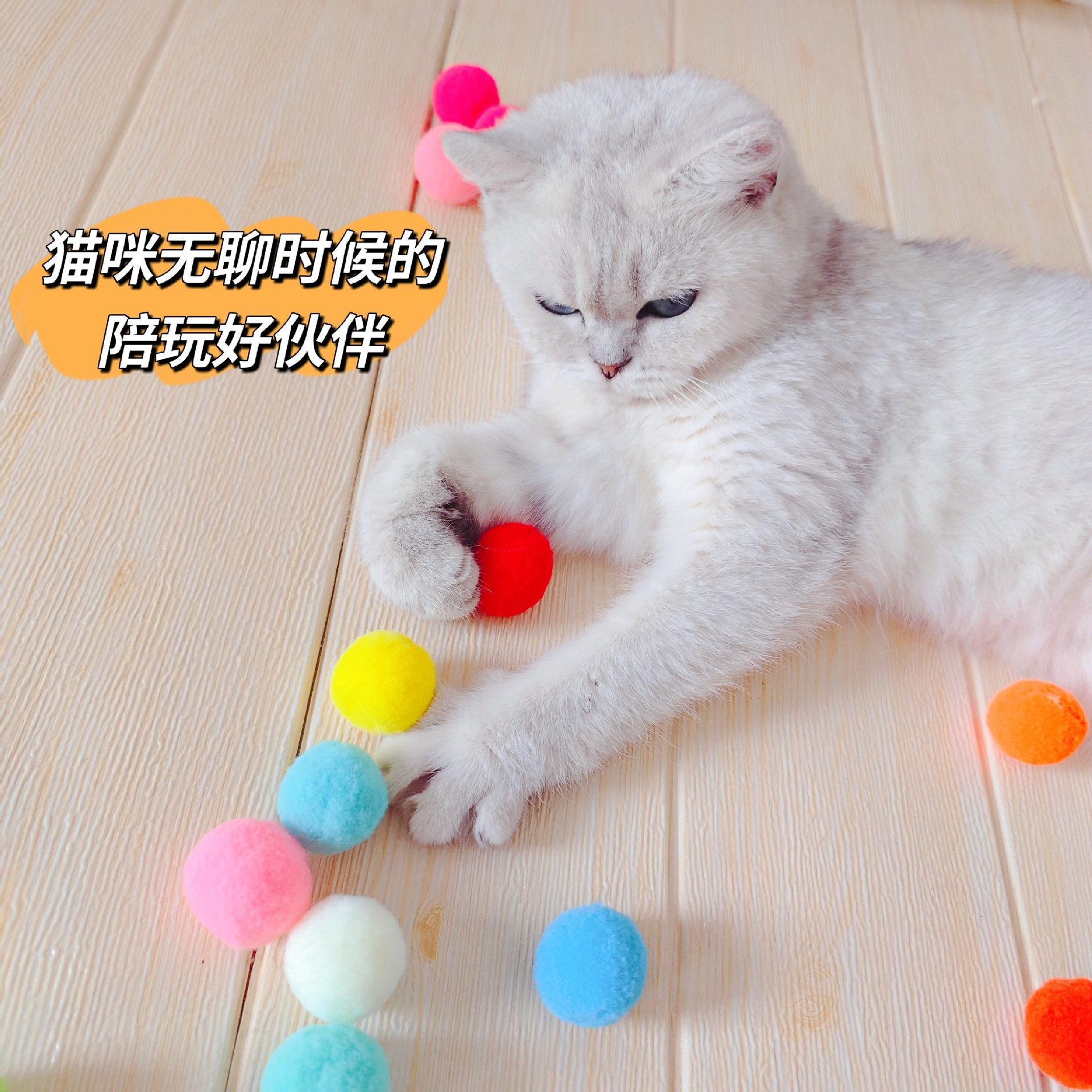 貓咪互動靜音玩具球高彈彩色毛絨球自海解悶逗貓盒裝20個玩具球