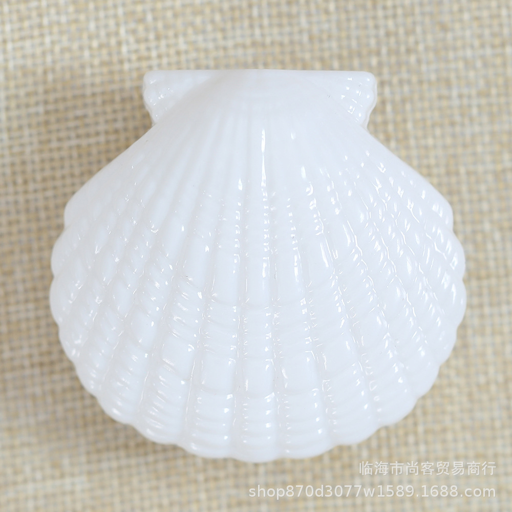 白色贝壳1.jpg
