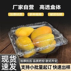 1kg一次性水果打包盒带盖子透明塑料水果切盒生鲜果蔬蓝莓包装盒