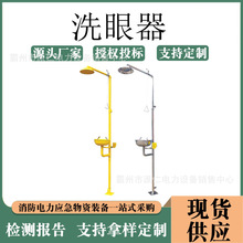 不锈钢耐腐蚀洗眼器室外喷淋洗眼装置复合式工业落地冲洗器