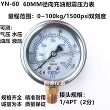 YN-60���P䓱횤60MM����0��100KG�������������� Һ���� �͉���