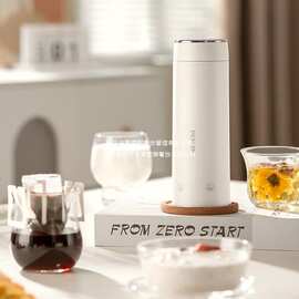 德世朗电热水杯套装DDQ-TZ06 水杯套装其他礼品