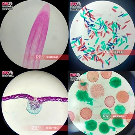 生物教学器材;教学仪器;实验室仪器