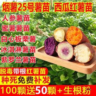 �߮a����25̖�������ļt����N�ع����������������������t���N��