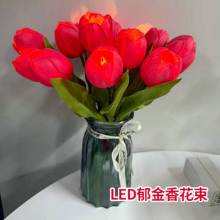 LED��������滨�����l�����������Ҿ��b[�����˹����նY��