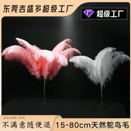 羽毛、羽绒;除尘掸