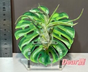 �����k�����[�� ֲ���՚��P��Nֲ�ܿ՚��P��֧�� �������Nֲ��