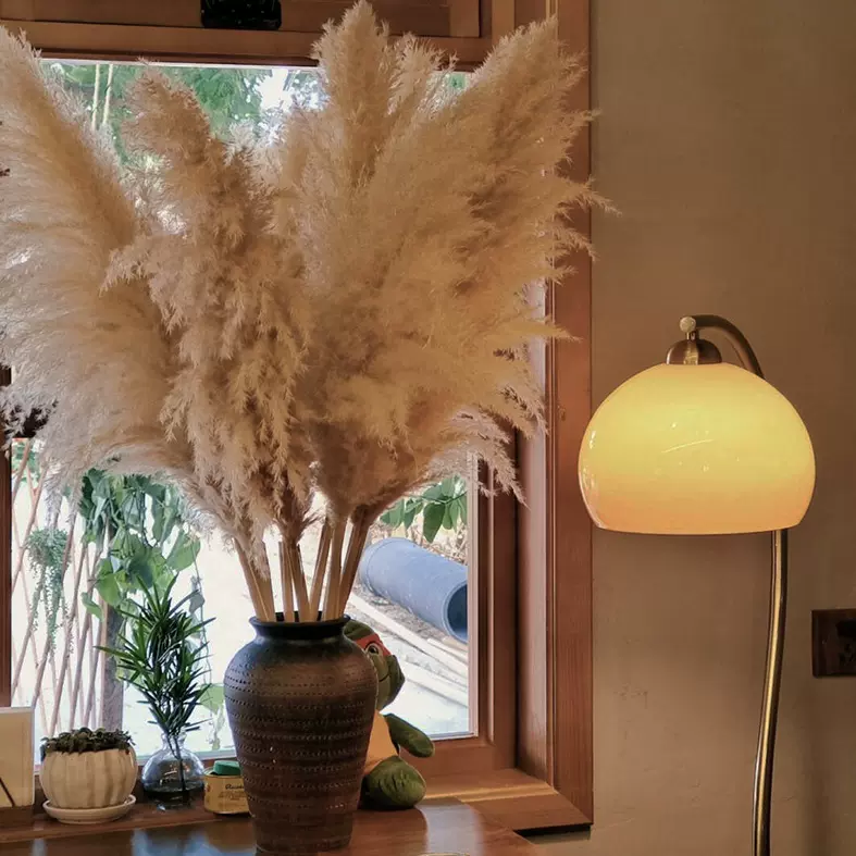大芦苇蒲苇干花花束客厅摆设室内ins风摆件天然蒲苇真花结婚路引
