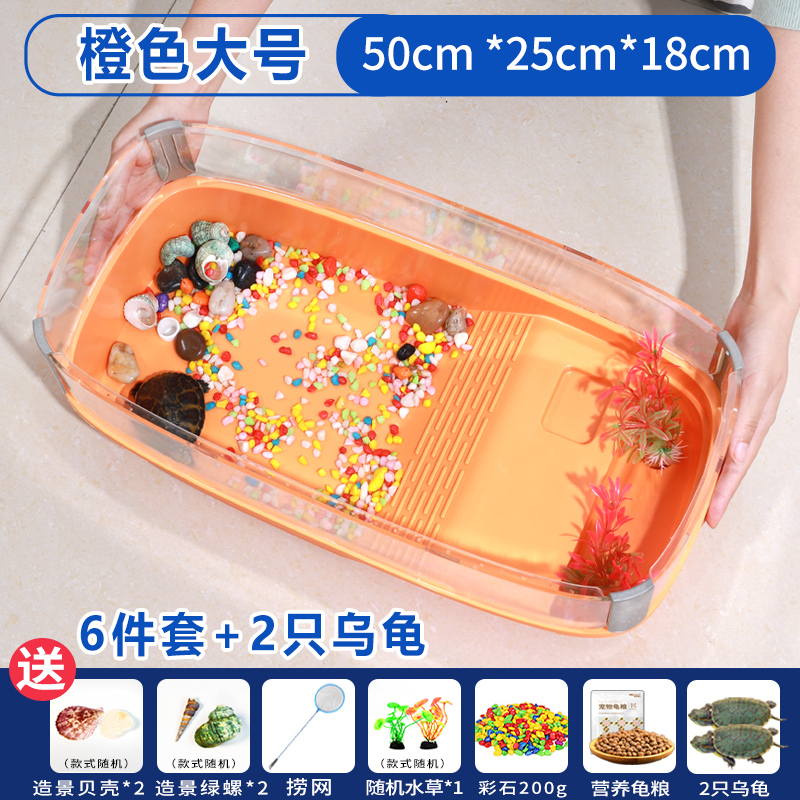 家庭用カメ飼育用の安価なカメ水槽、透明なプラスチックボックス、長方形のリビングルーム、怠け者用の両用水槽|undefined