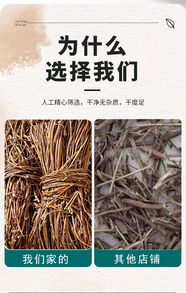 Ji Gu Cao Chicken Bone Herb Whole Bundles 500g Dried Abrus Herb for Soup and Decoction in use