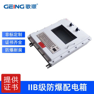 Wall-Mounted Explosion-Proof Distribution Box Explosion-Proof Control Box with Complete Certificates Explosion-Proof Maintenance Box Explosion-Proof Box Operation Outside the Box