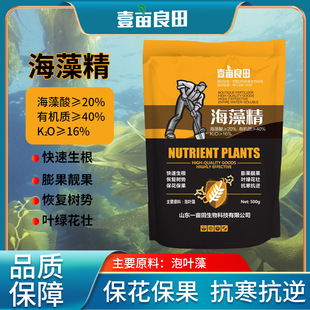 ���徫 �r�Iˮ�a�ЙC���ϸߺ������徫 �~����������ˮ�ܷ����l