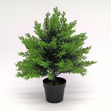 ���R�d�羳�����̰صز�Gֲ���~�b��⻨�@ͥԺ���Բ廨�쾰